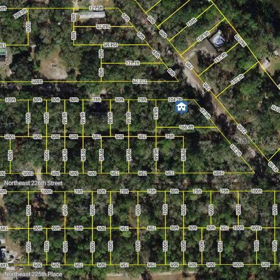 Photo of 0 NE 227TH STREET FORT MC COY FL 32134