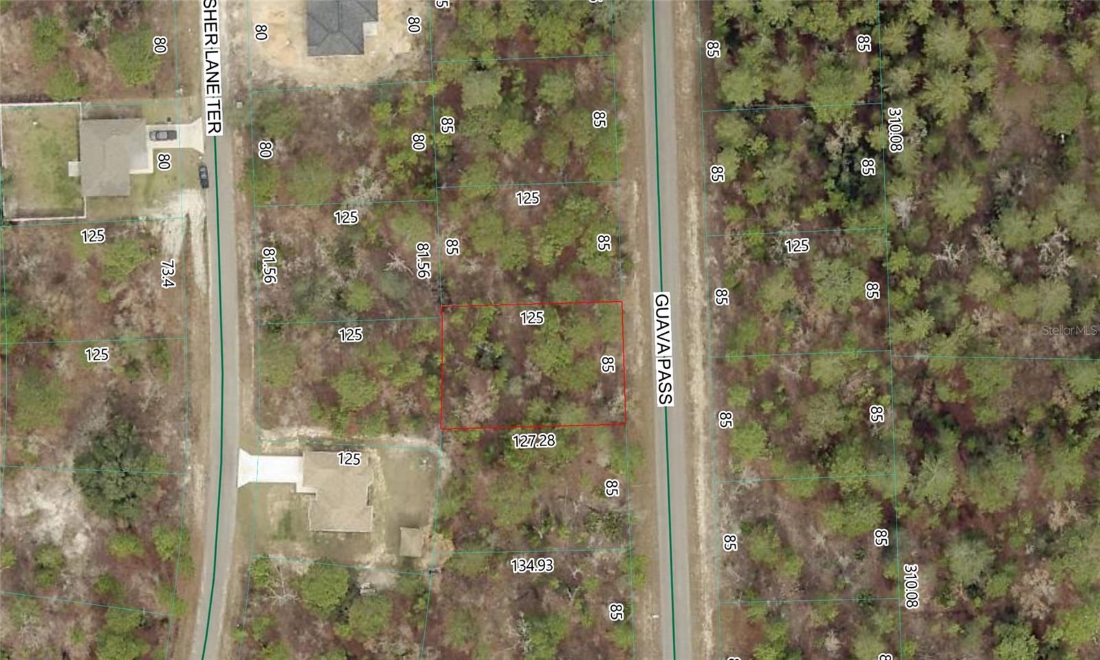 Photo of GUAVA PASS LOT 10 OCKLAWAHA FL 32179
