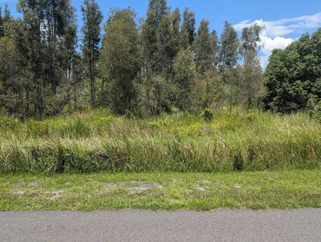 Photo of ARBOREA DRIVE INDIAN LAKE ESTATES FL 33855