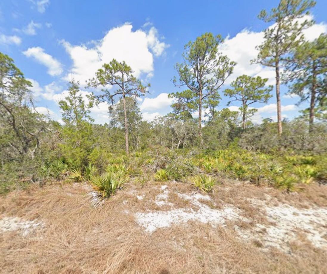 Photo of 3047 WILLOW AVENUE LAKE PLACID FL 33852
