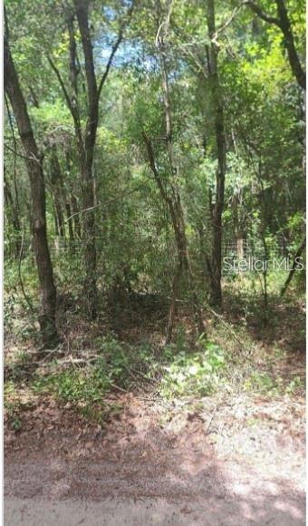 Photo of SOUTHWEST 156TH PLACE DUNNELLON FL 34432