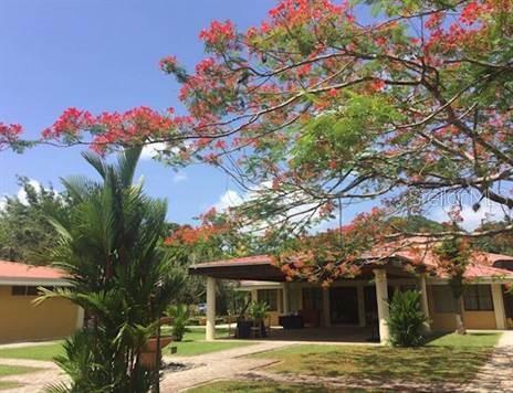 Photo of CARR 1, KM 21.3 BO. LA MUDA GUAYNABO PR 00969