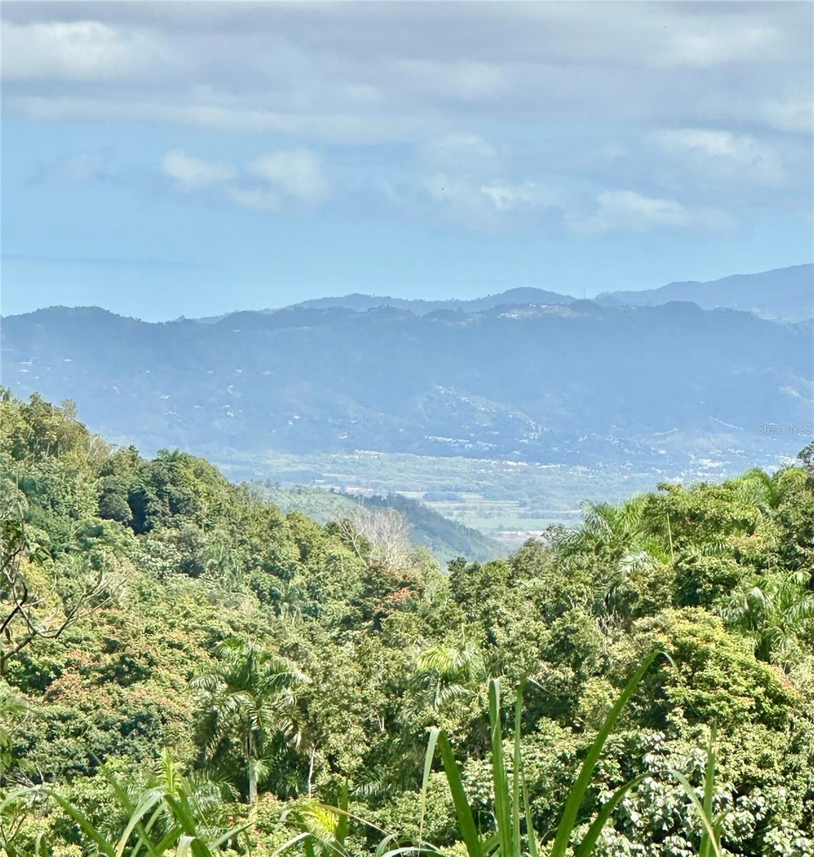 Photo of ROAD 785 KM.HM 4 BARRIO CAGUITAS AGUAS BUENAS PR 00703