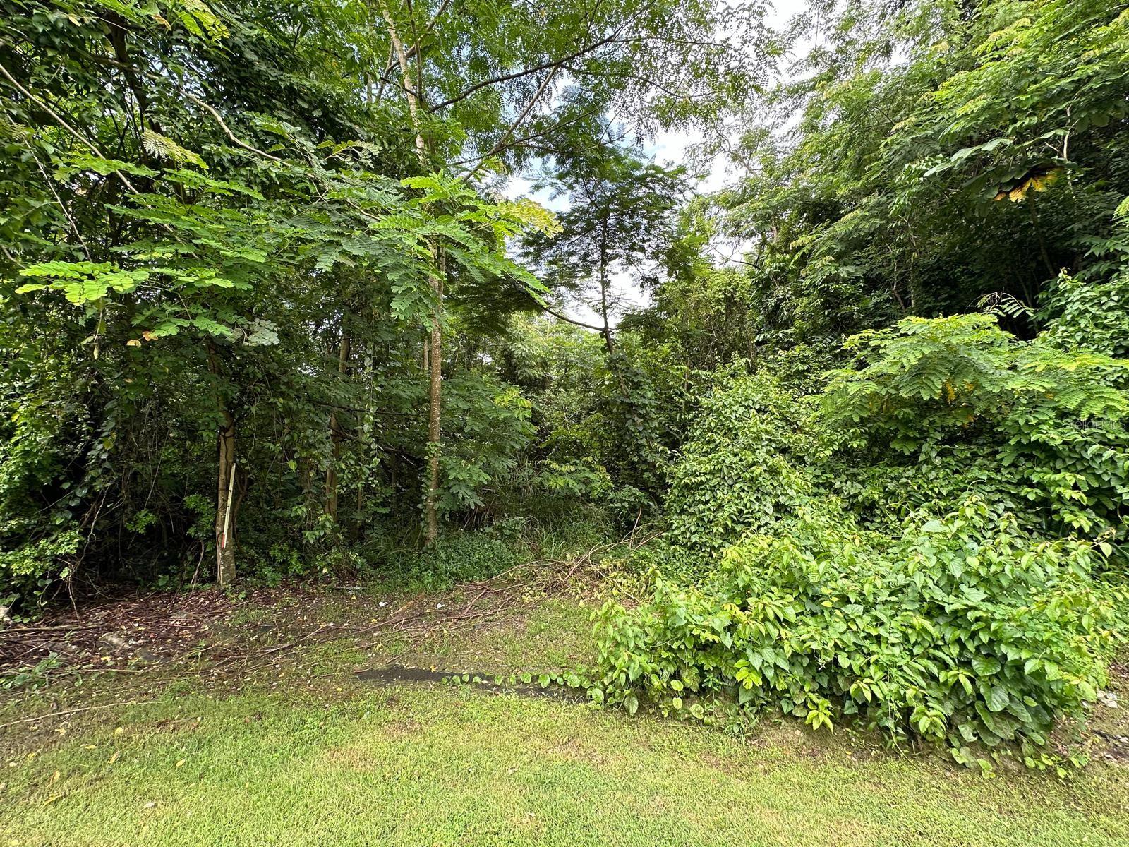 Photo of Barrio Rio CARR 834 KM 9.3 #18.323638 GUAYNABO PR 00969