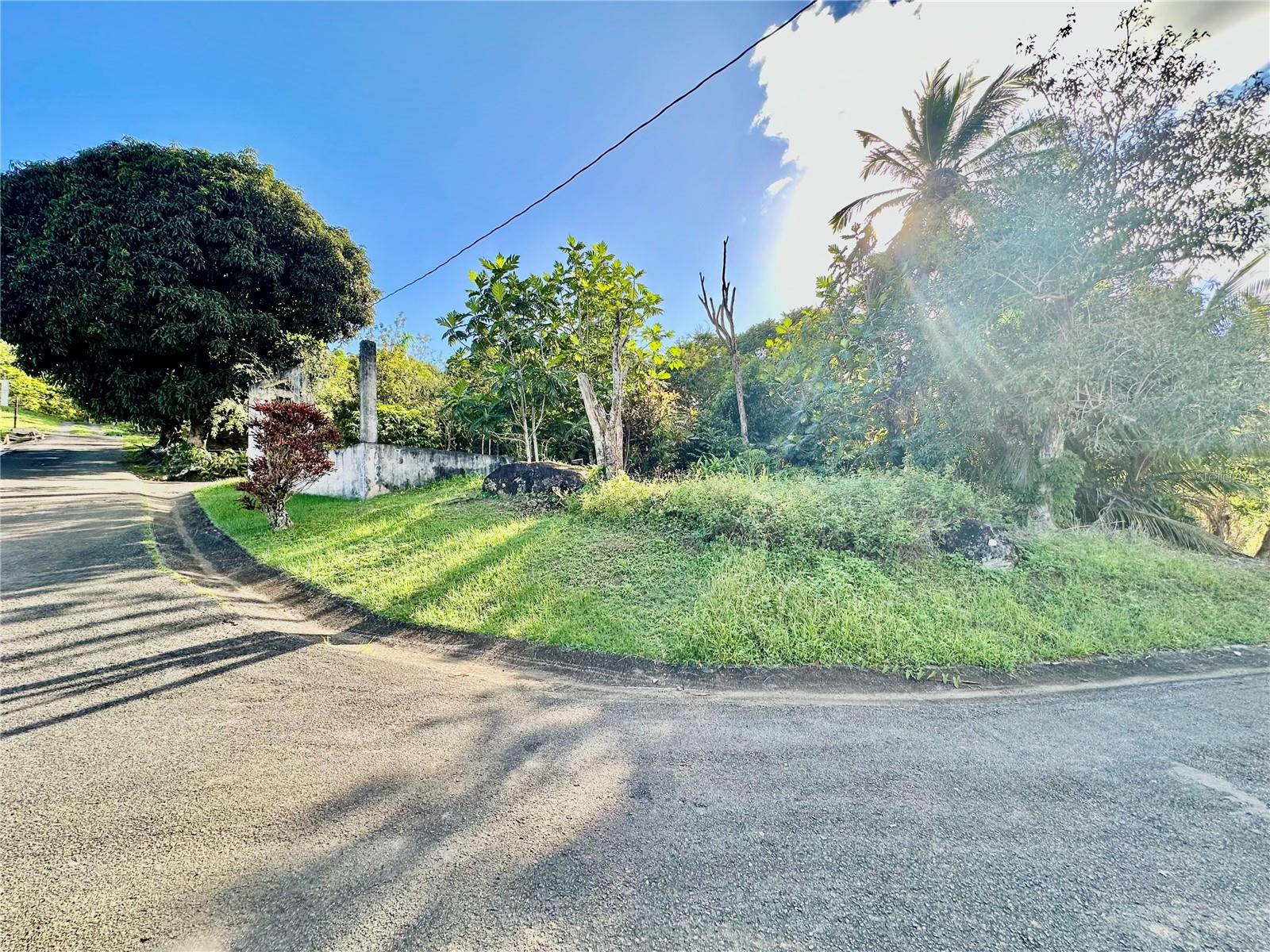Photo of Road 185 Barrio Cedros ROAD 185 BARRIO CEDROS CAROLINA PR 00987