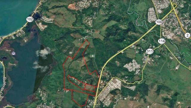 Photo of PR100 CABO ROJO PR 00623