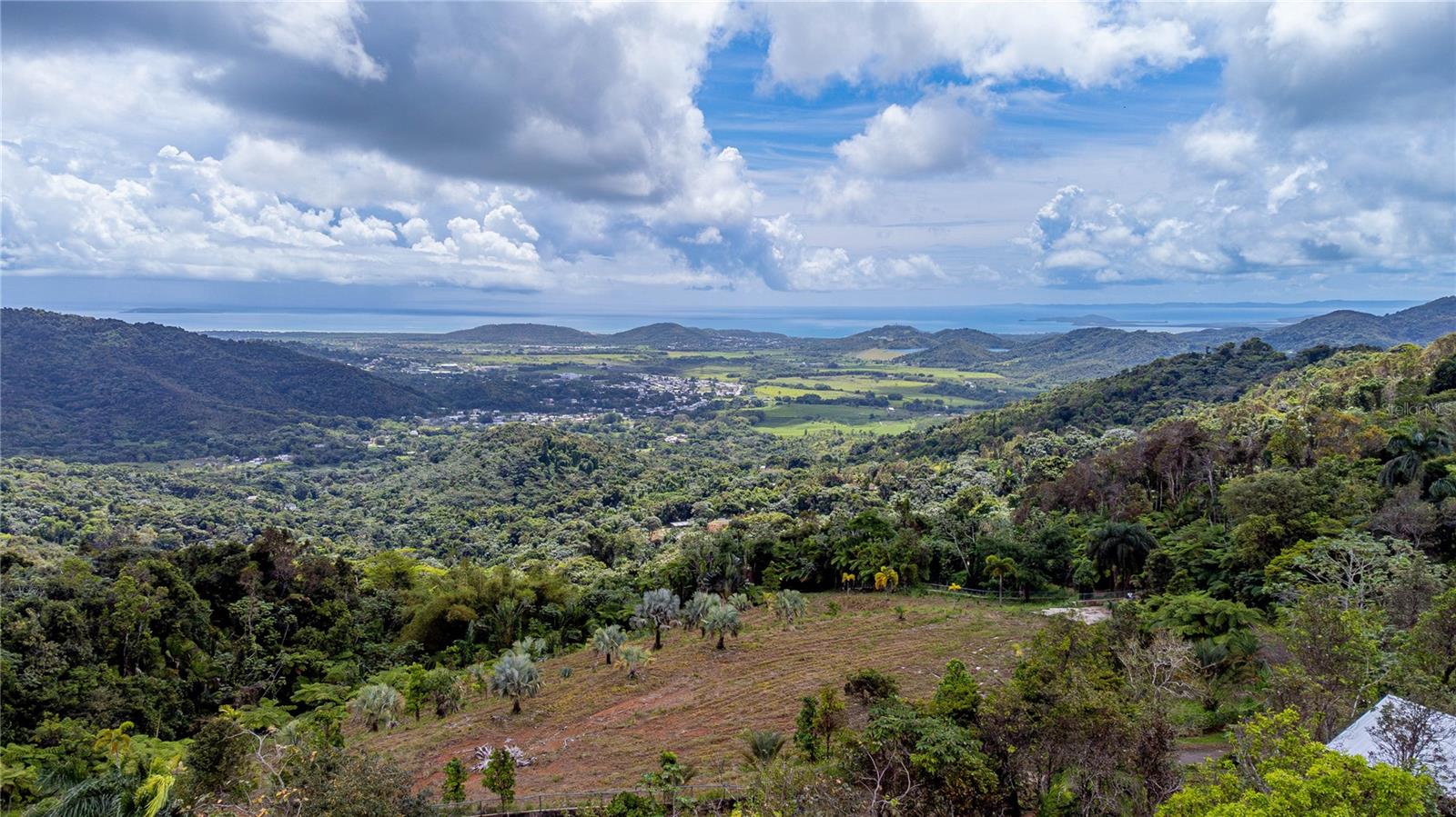 Photo of NARANJO WARD INT. PR 984 FAJARDO PR 00738