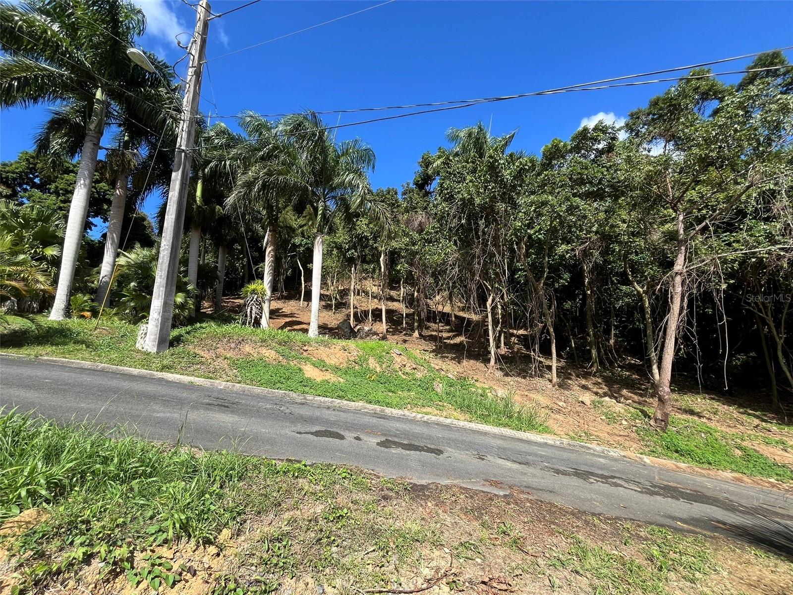 Photo of 174 BAYAMON PR 00961
