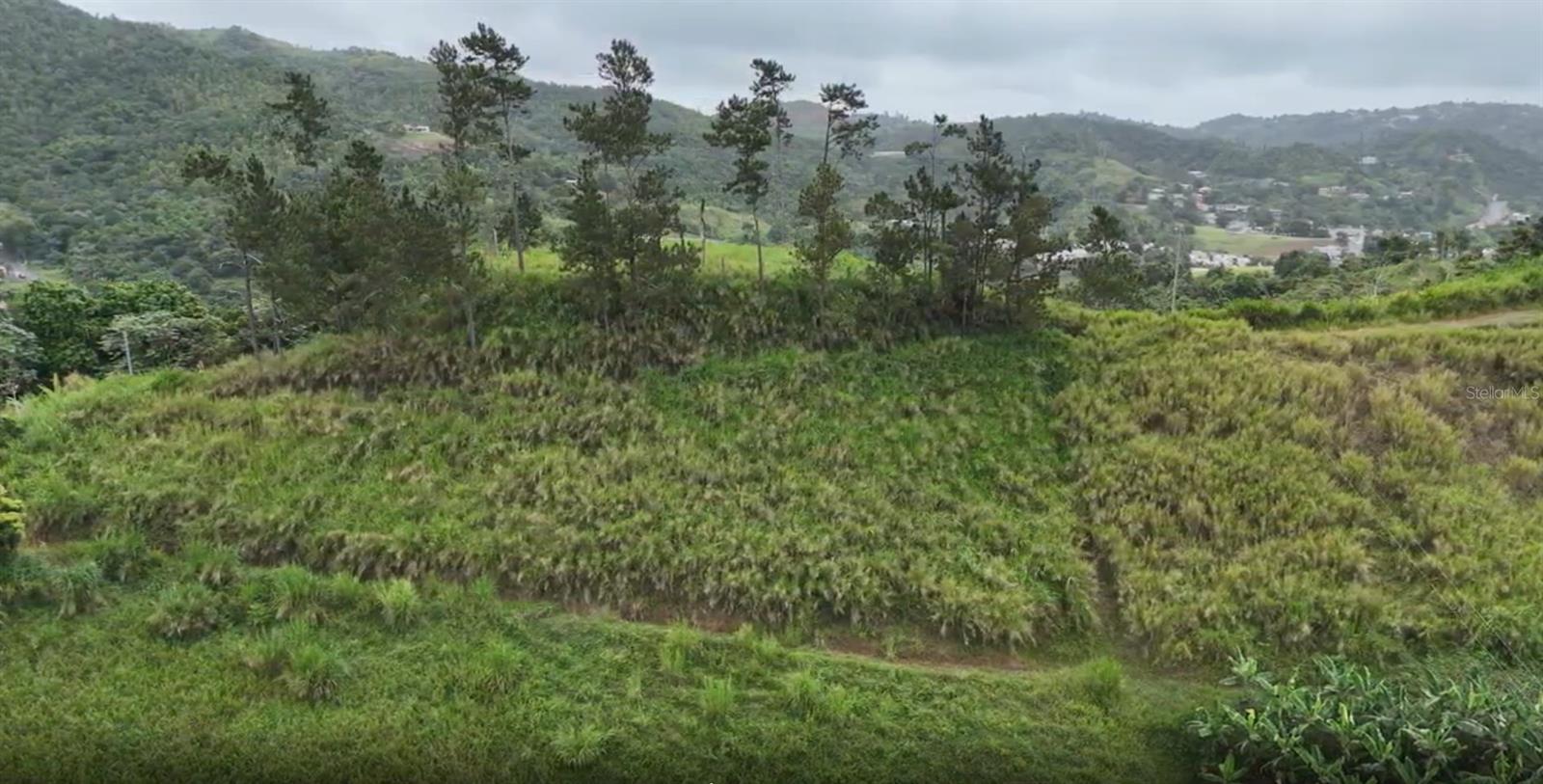 Photo of KM 0.2 INT Bo. Helechal PR 152 BARRANQUITAS PR 00794