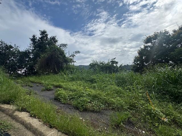 Photo of 816 BO NUEVO BAYAMON PR 00956