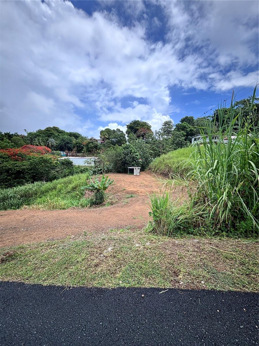 Photo of Barrio Guadiana CAMINO COLON NARANJITO PR 00719