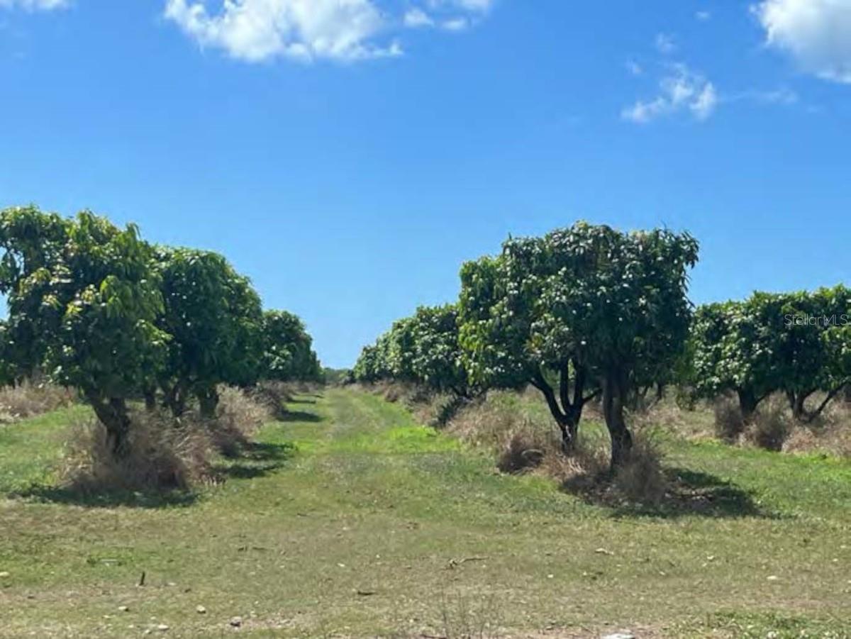 Photo of PR-ROAD #1 KM. 40.7 INT., CINTRONA & SABANA WARD JUANA DIAZ PR 00795