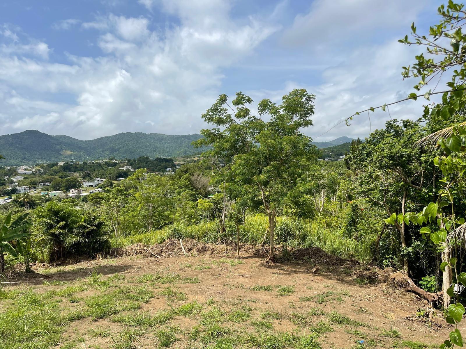 Photo of BO. ARENAS CARR PR-734 KM 6.3 CIDRA PR 00739