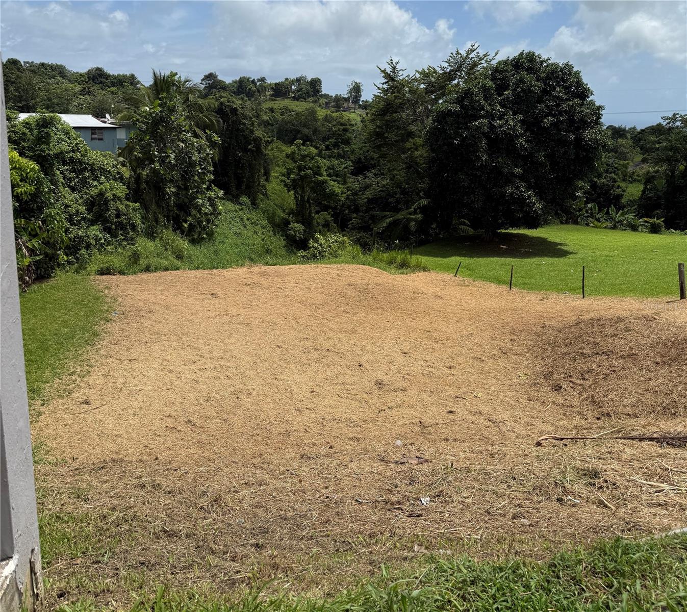 Photo of BO. TEJAS YABUCOA PR 00767