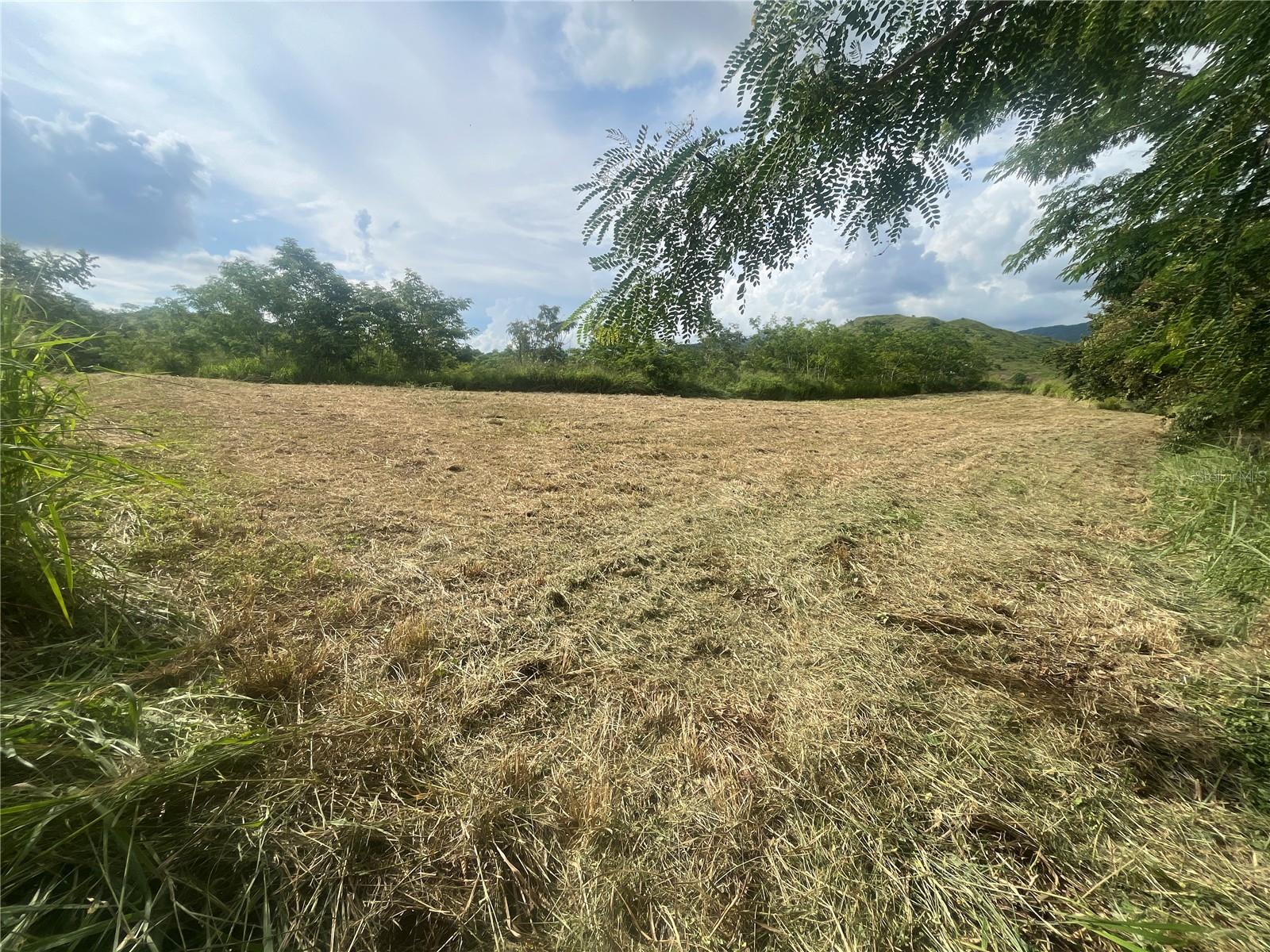 Photo of KM HM 17.7 CARR 150 COAMO PR 00769