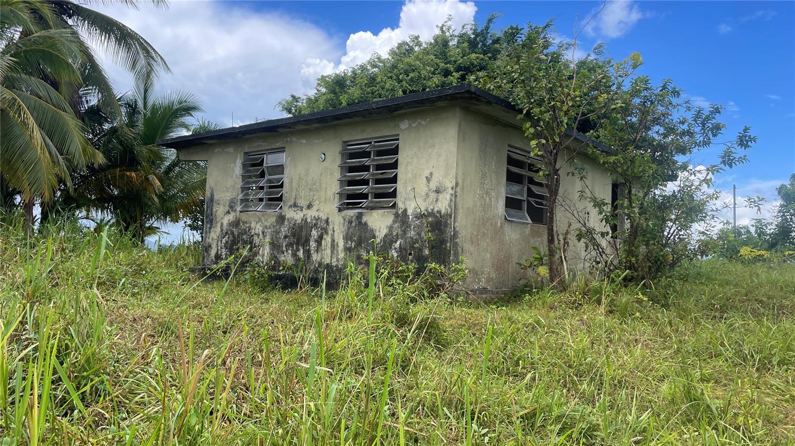 Photo of 908 st BARRIO TEJAS YABUCOA PR 00767