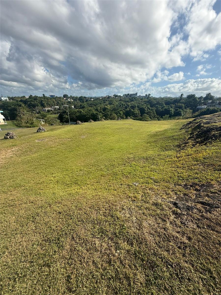 Photo of COLINAS DE PALMARITO ARECIBO PR 00612