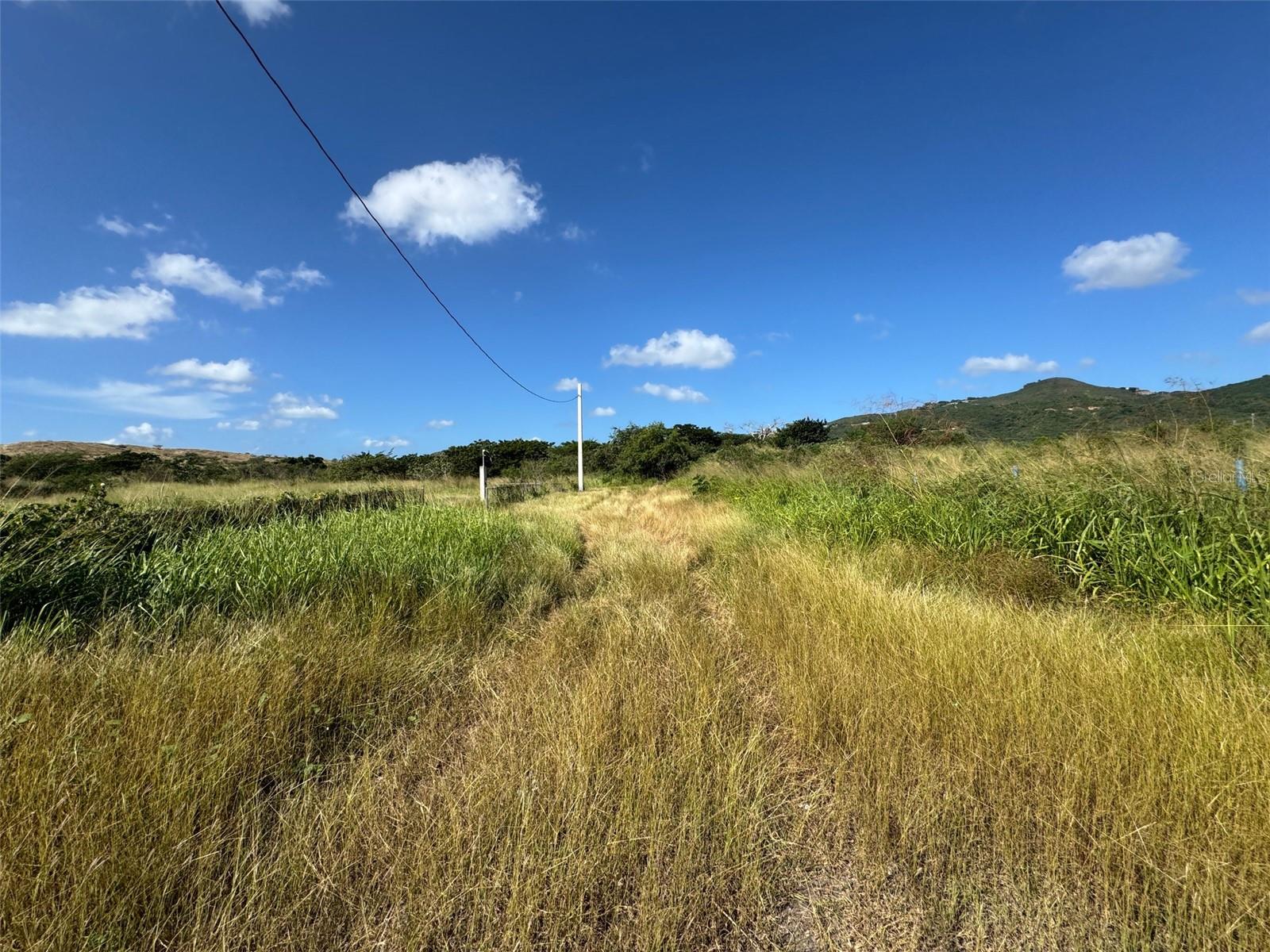 Photo of Carr. 542 BO. JAUCA, SECTOR CAYURE PREDIO 119 SANTA ISABEL PR 00757