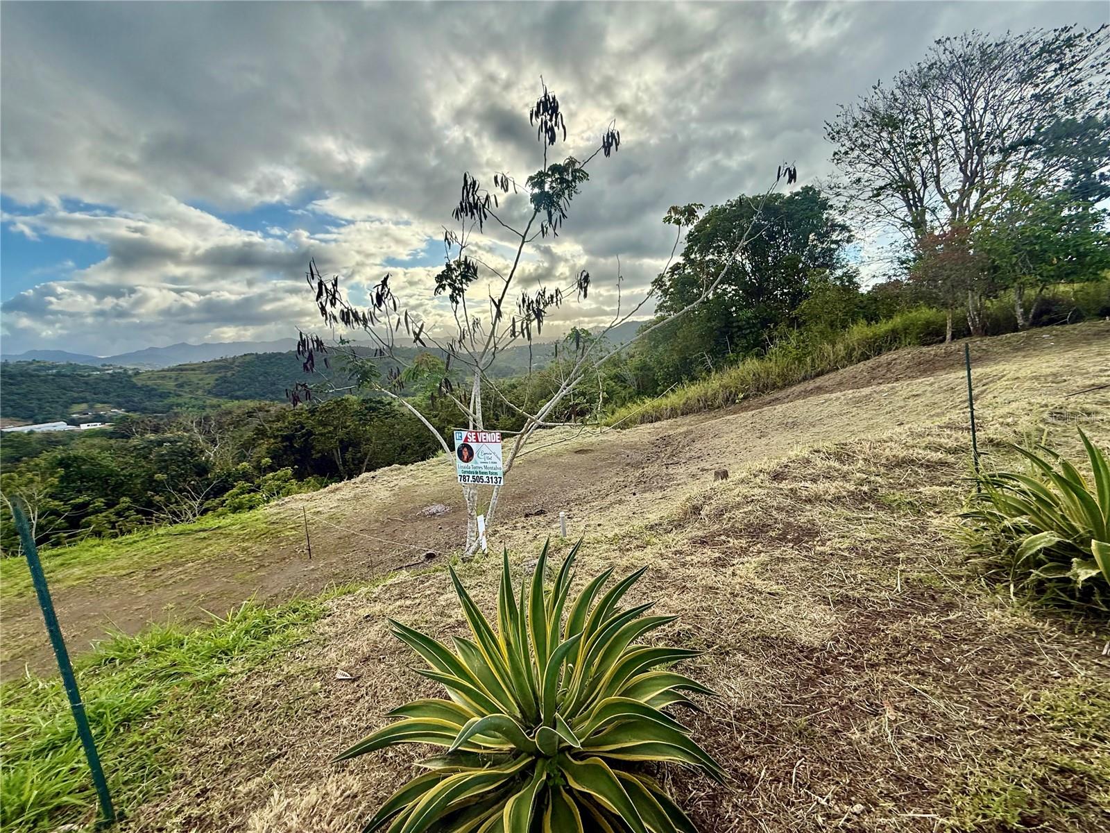 Photo of SECTOR CAMPO BELLO CIDRA PR 00739