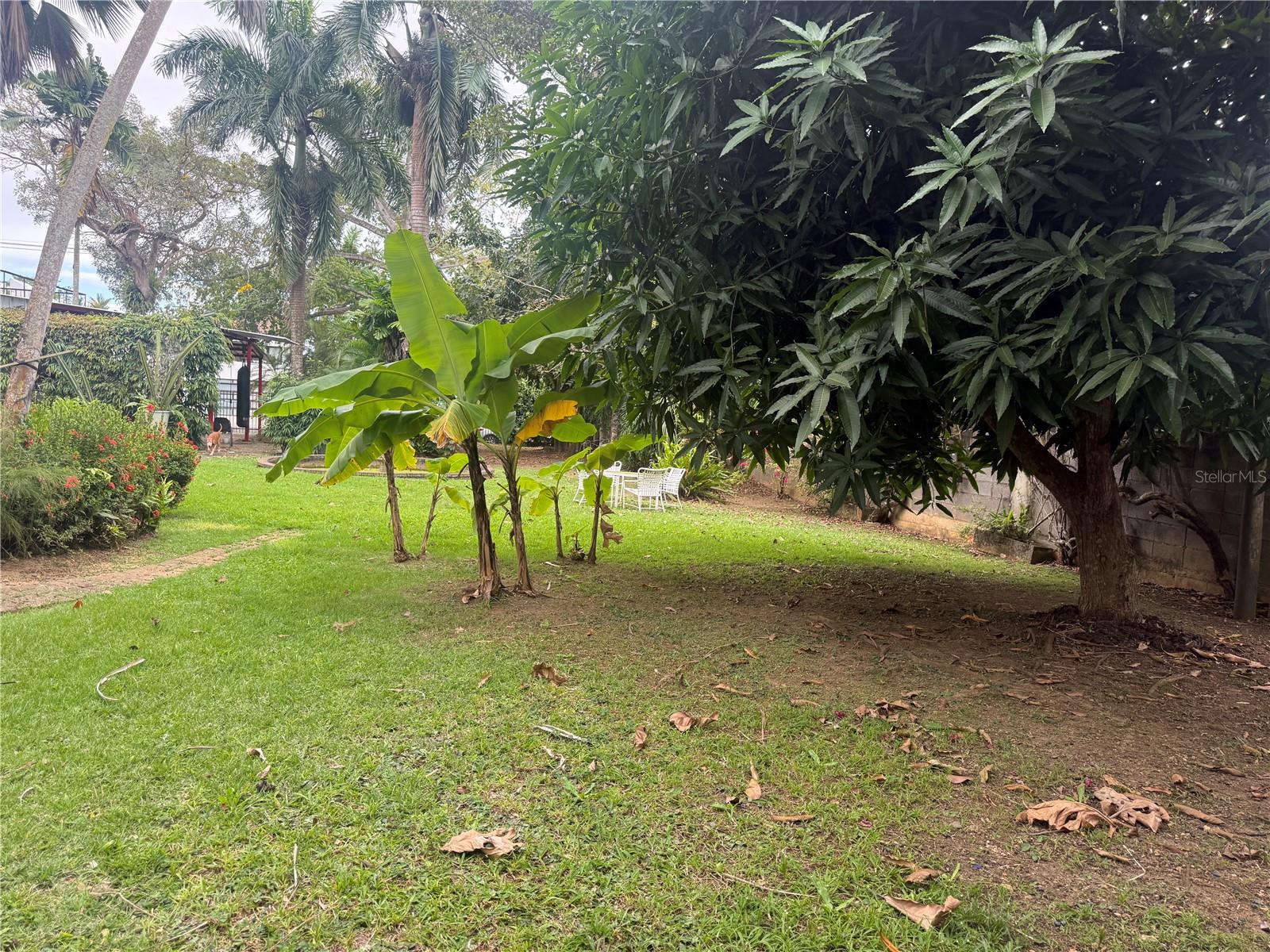 Photo of CALLE PEDROSA, GARDEN HILLS GUAYNABO PR 00966