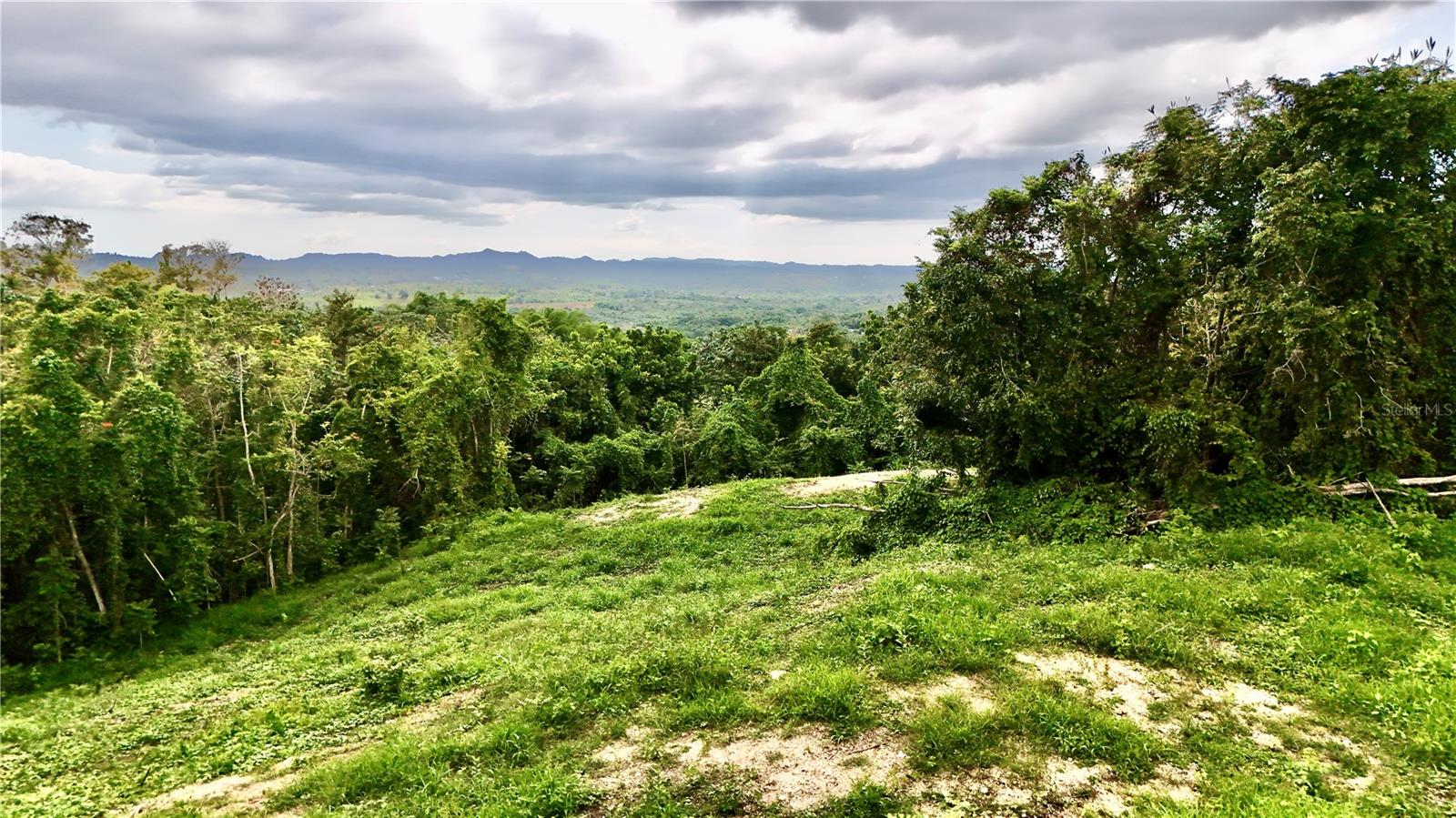 Photo of BO. CIDRAL PR-450 SAN SEBASTIAN PR 00685