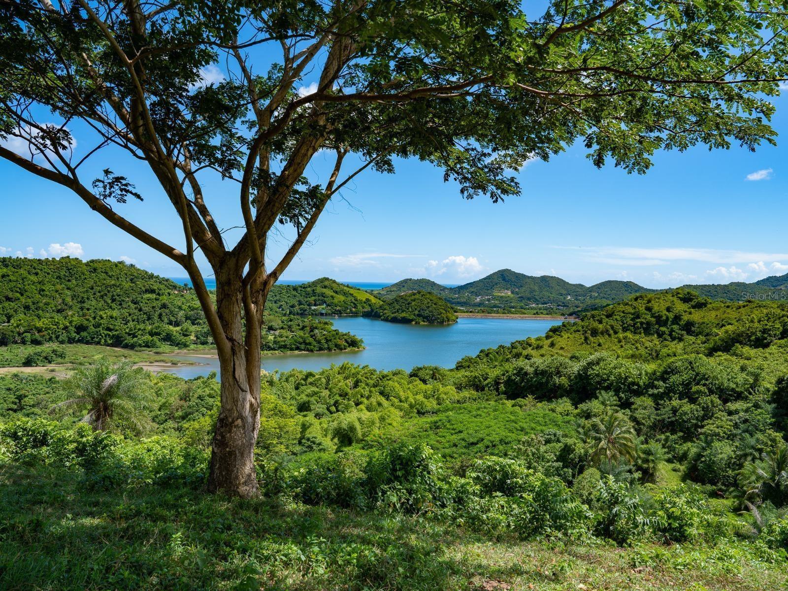Photo of 7759 RAMAL #KM 03 PATILLAS PR 00723