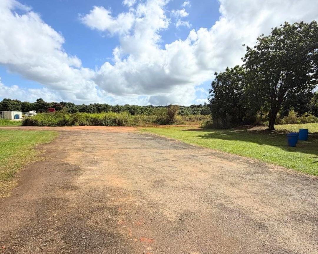 Photo of SECTOR MANANTIALES, BO. SABANA HOYOS ARECIBO PR 00612