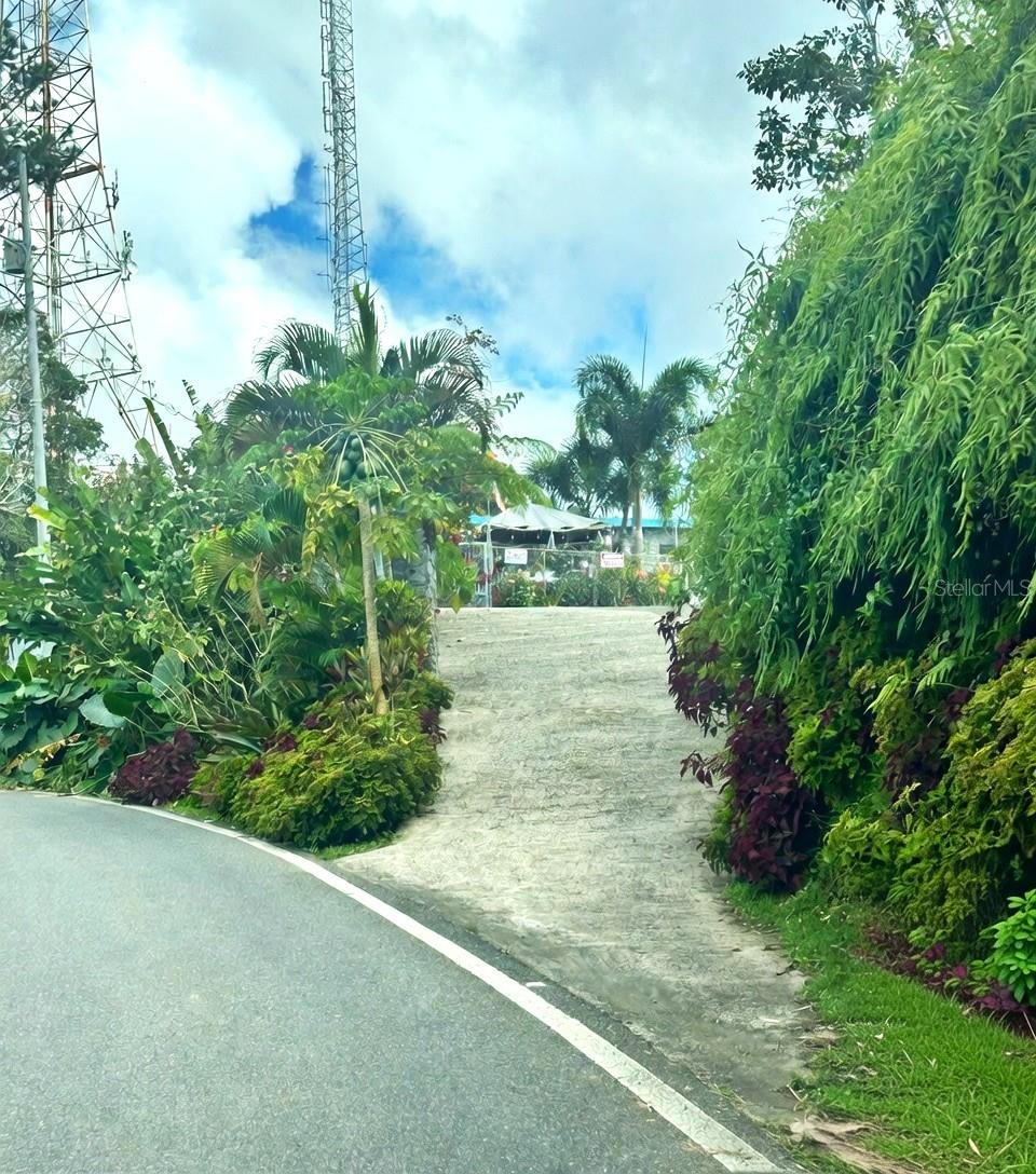 Photo of 795 BAIROA AGUAS BUENAS PR 00703
