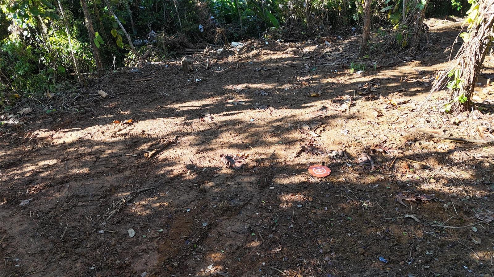 Photo of 186 CAMINO LOS REYES CANOVANAS PR 00729