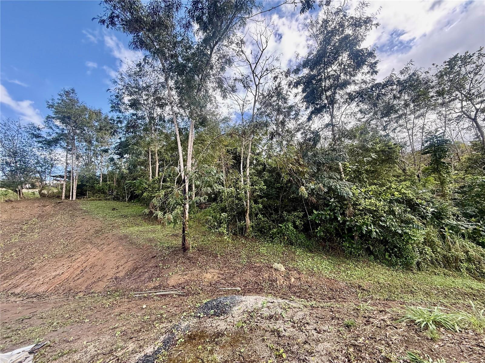 Photo of BO RINCÓN LOMAS CAYEY PR 00736