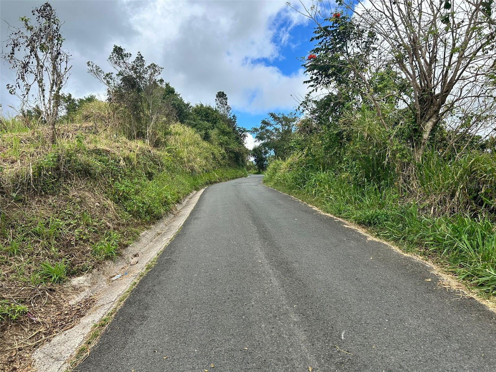 Photo of CARR. 723,2.3 INT. AIBONITO PR 00705