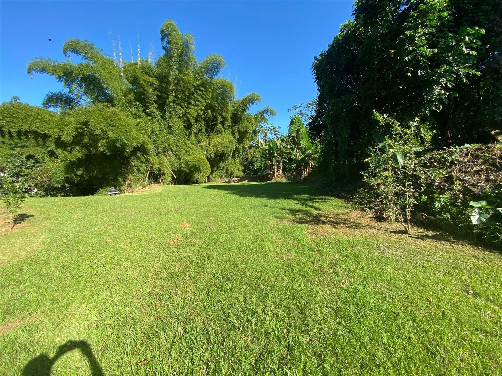 Photo of Carr. 108, Camino Adelina BO. RÍO CAÑAS MAYAGUEZ PR 00680