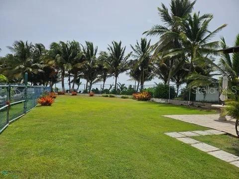 Photo of Las Picuas Beach BO. ZORZAL ORCHARD #6 RIO GRANDE PR 00745