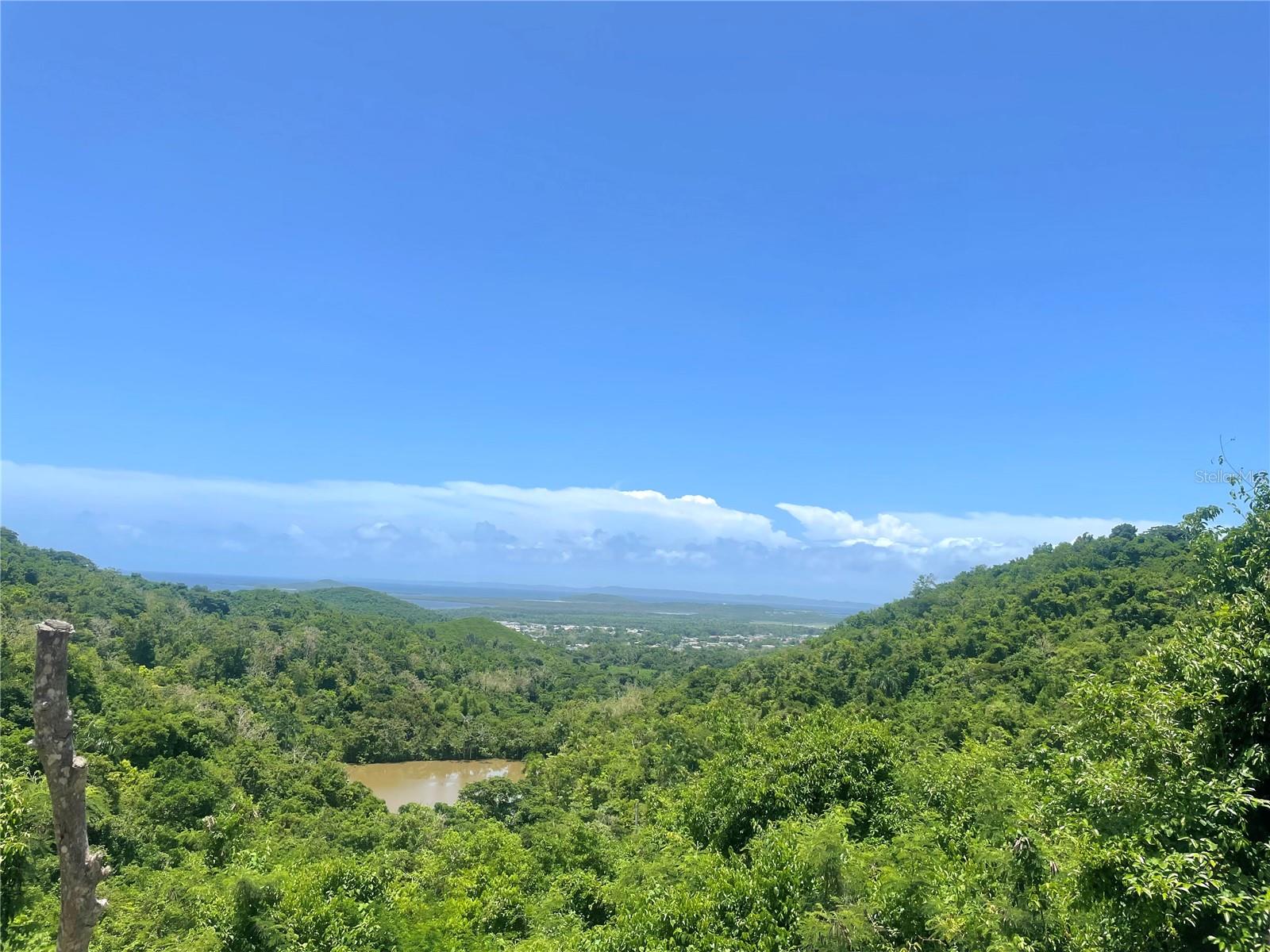 Photo of 981 CEIBA PR 00735