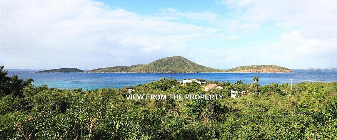 Photo of End of Road CAM PLAYA TAMARINDO CULEBRA PR 00775