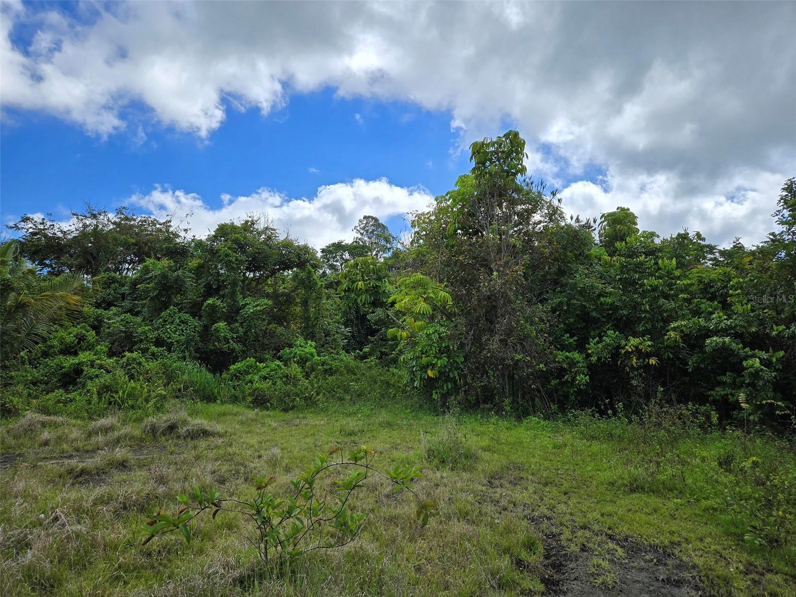 Photo of PR 7718 KM 4.1 PASTO WARD AIBONITO PR 00705