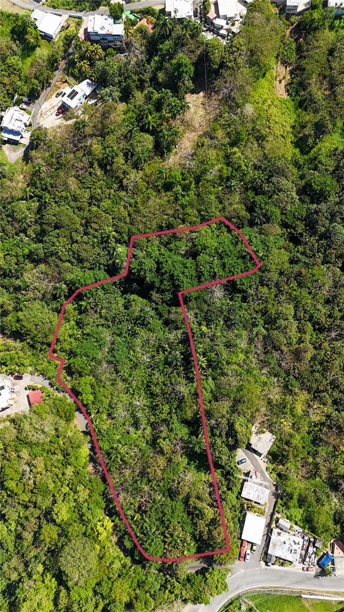 Photo of Carr. 414 KM 3.2 BO.CRUCES AGUADA PR 00602
