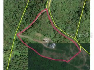 Photo of No Address Listed NAGUABO PR 00718