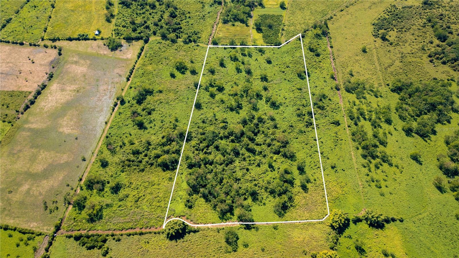 Photo of 2 KM 162 BENAVENTE ROAD #725 HORMIGUEROS PR 00660