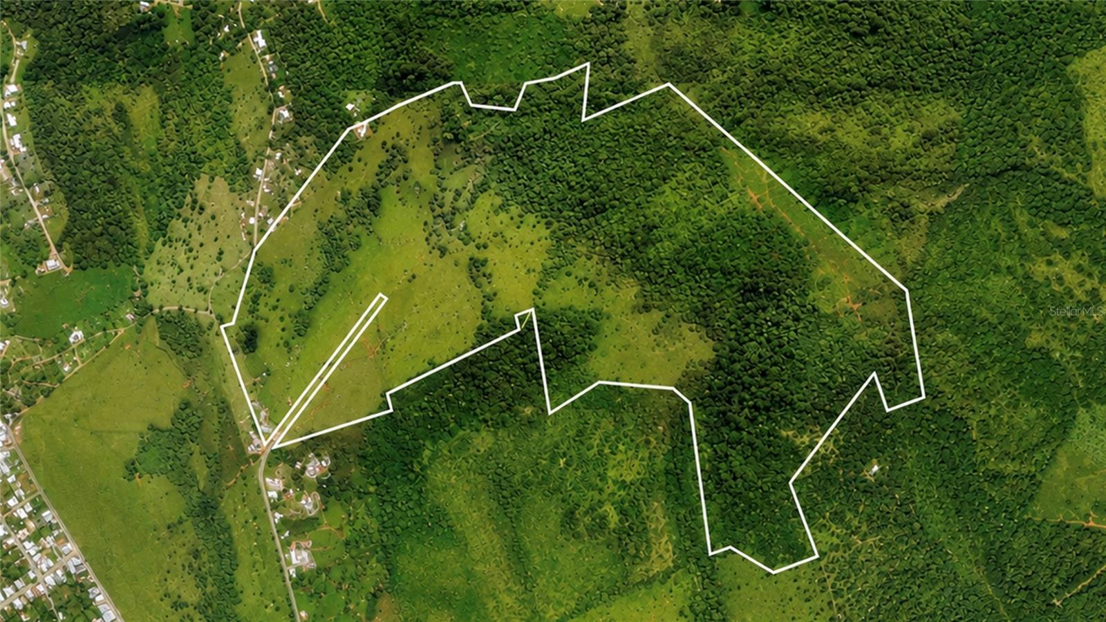 Photo of 971 KM 14.5 BO. DUQUE NAGUABO PR 00718