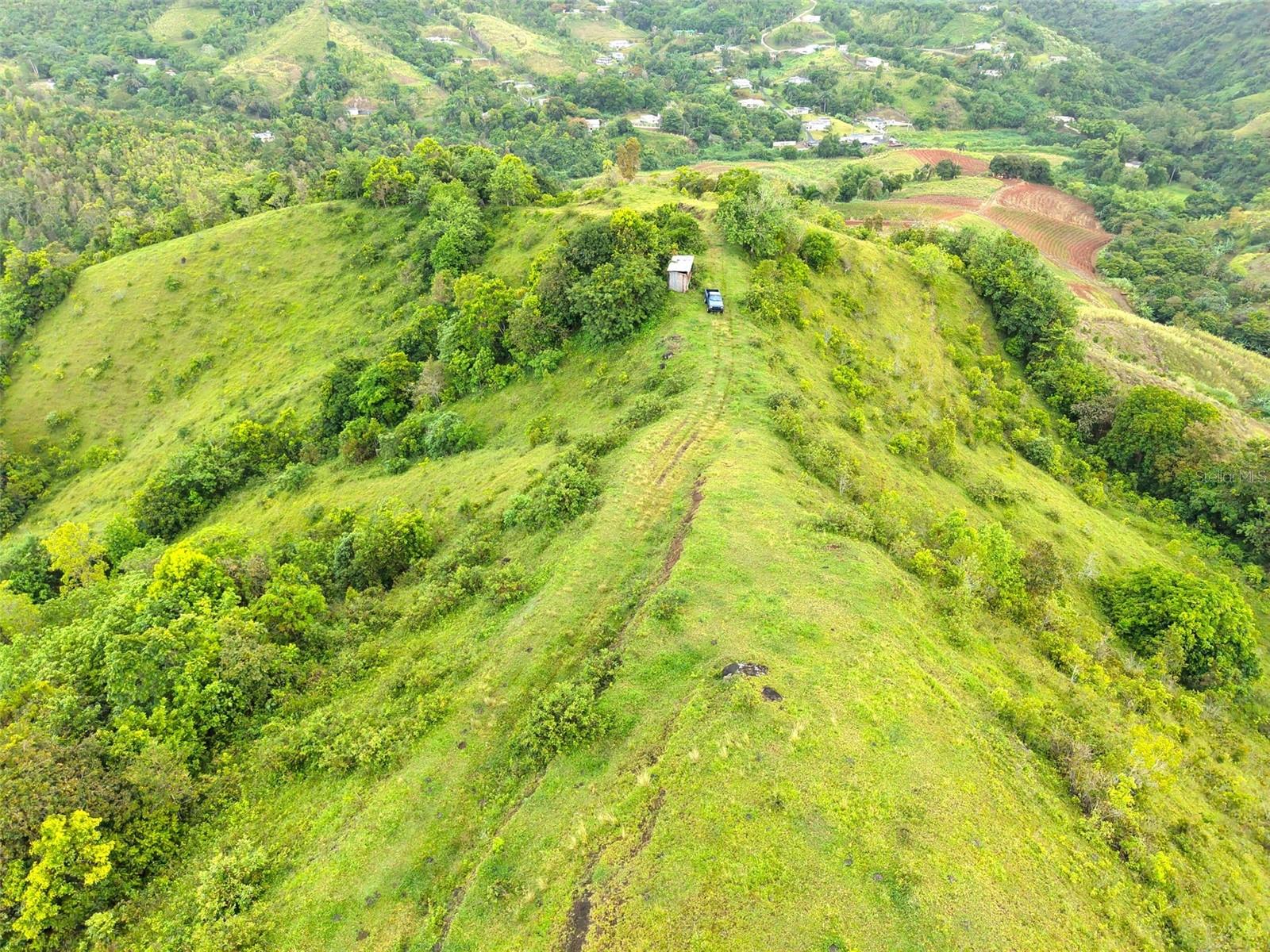 Photo of PR 770 KM 2.9 PALO HINCADO WARD BARRANQUITAS PR 00794