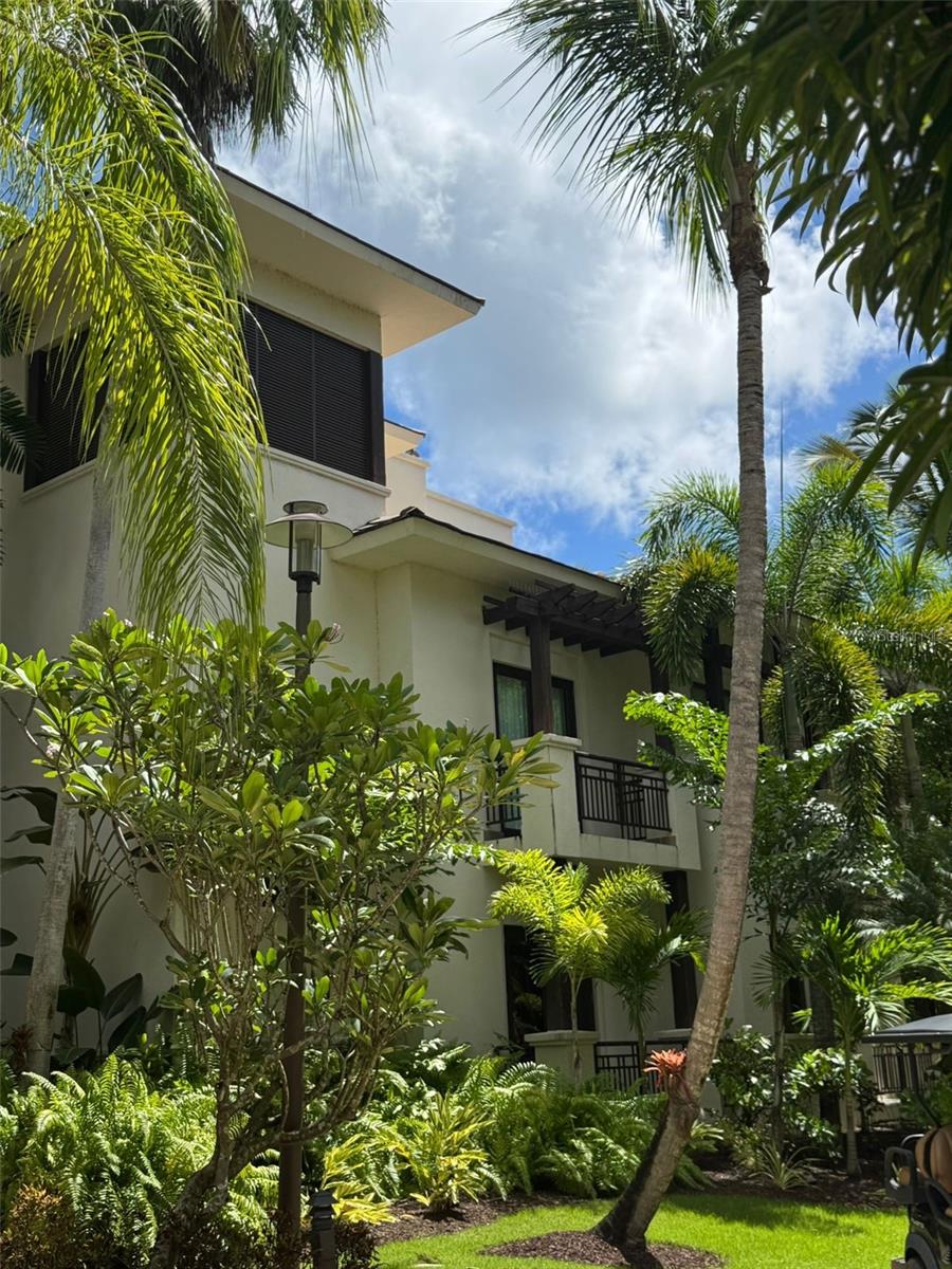 Photo of 7000 BAHIA BEACH BLVD RIO GRANDE PR 00745