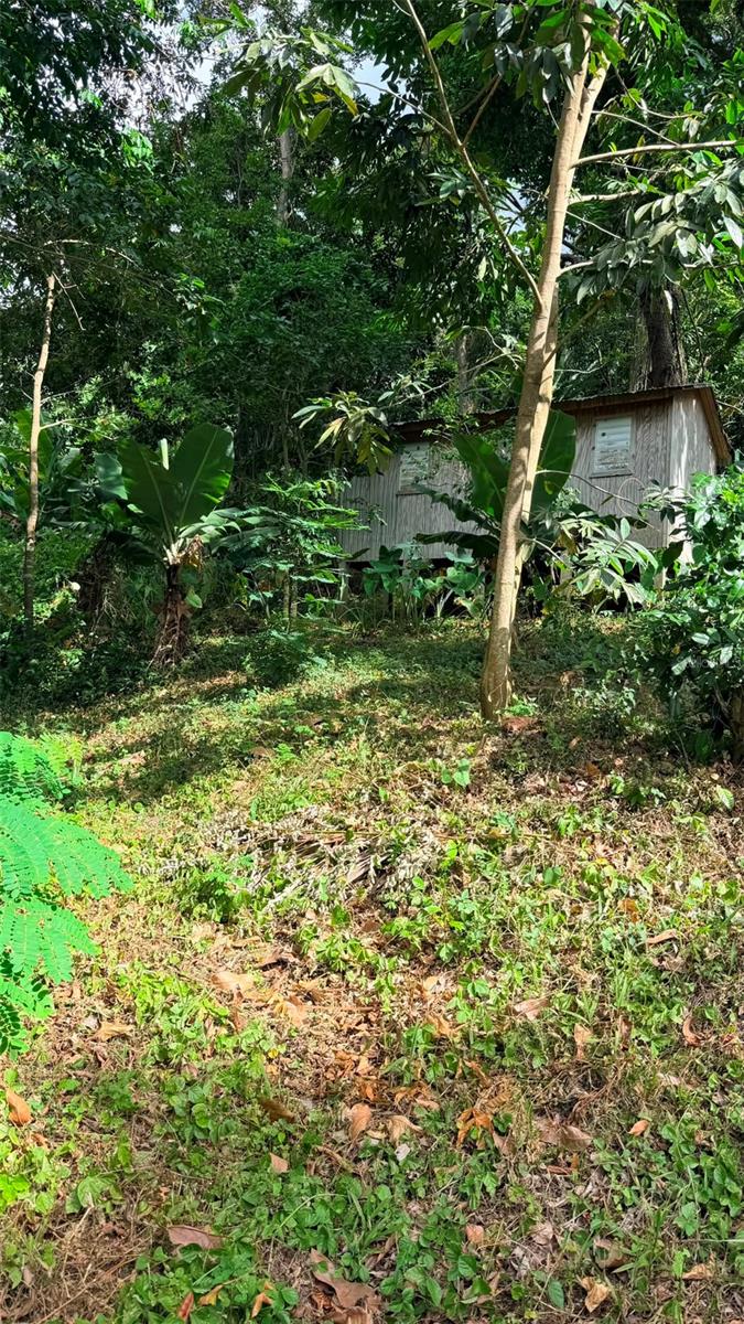Photo of CAIN ALTO. BO. HOCONUCO ALTO SAN GERMAN PR 00683