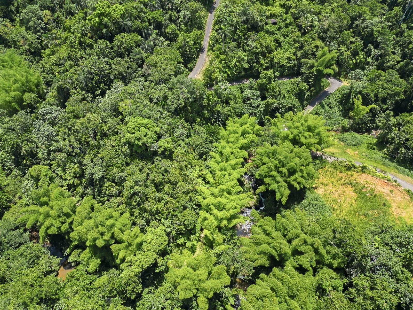 Photo of Carretera 124 KM 1.3 BO. BUENA VISTA LAS MARIAS PR 00670