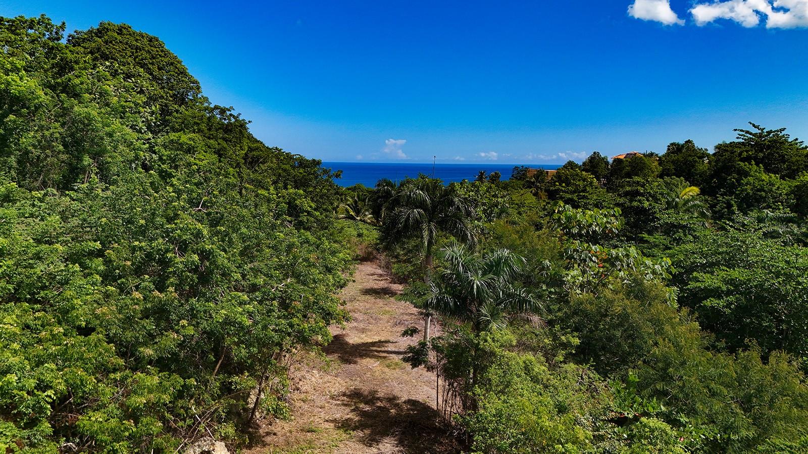 Photo of PUNTAS PARADISE-- CALLE VISTA DEL MAR RINCON PR 00677