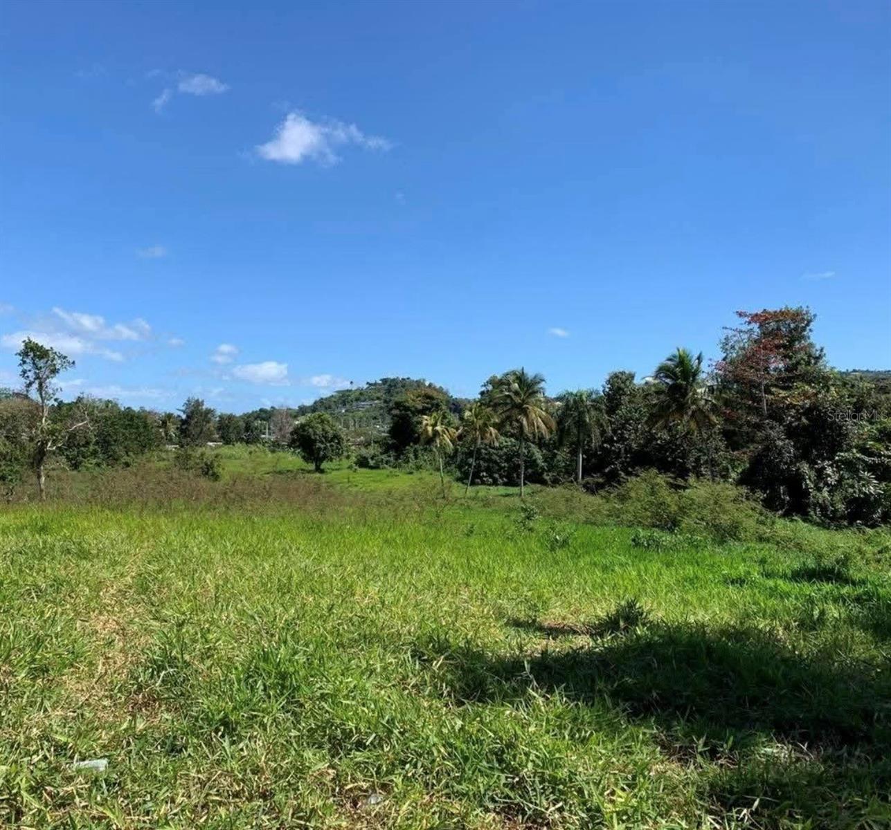 Photo of PR 6684 BUENA VISTA KM HM 2.5 MOROVIS PR 00687