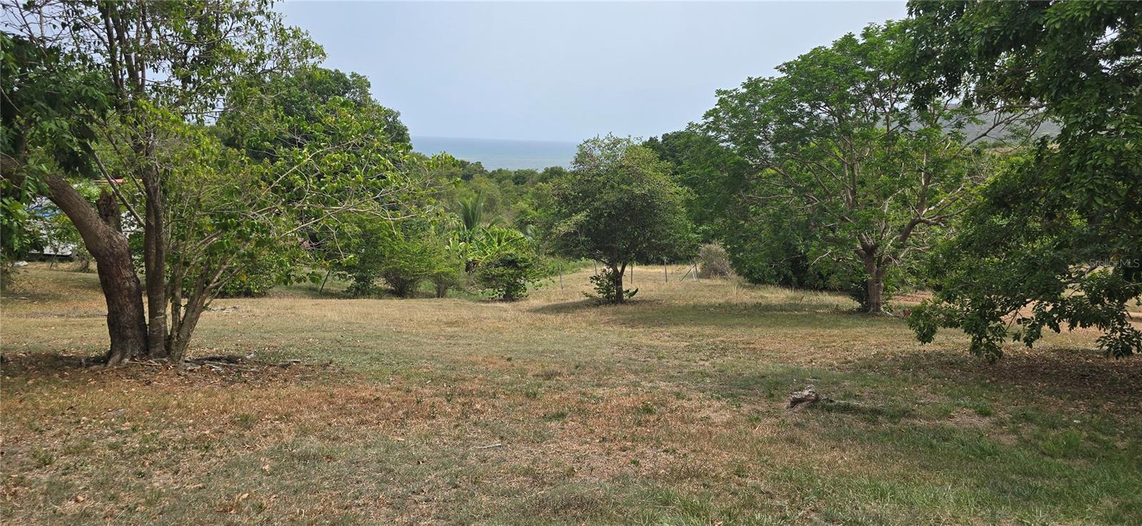 Photo of CAMINO NUEVO YABUCOA PR 00767
