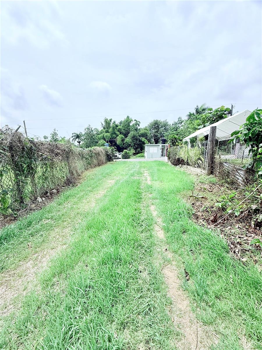 Photo of Km 0.9 ROUTE 759 MAUNABO PR 00707