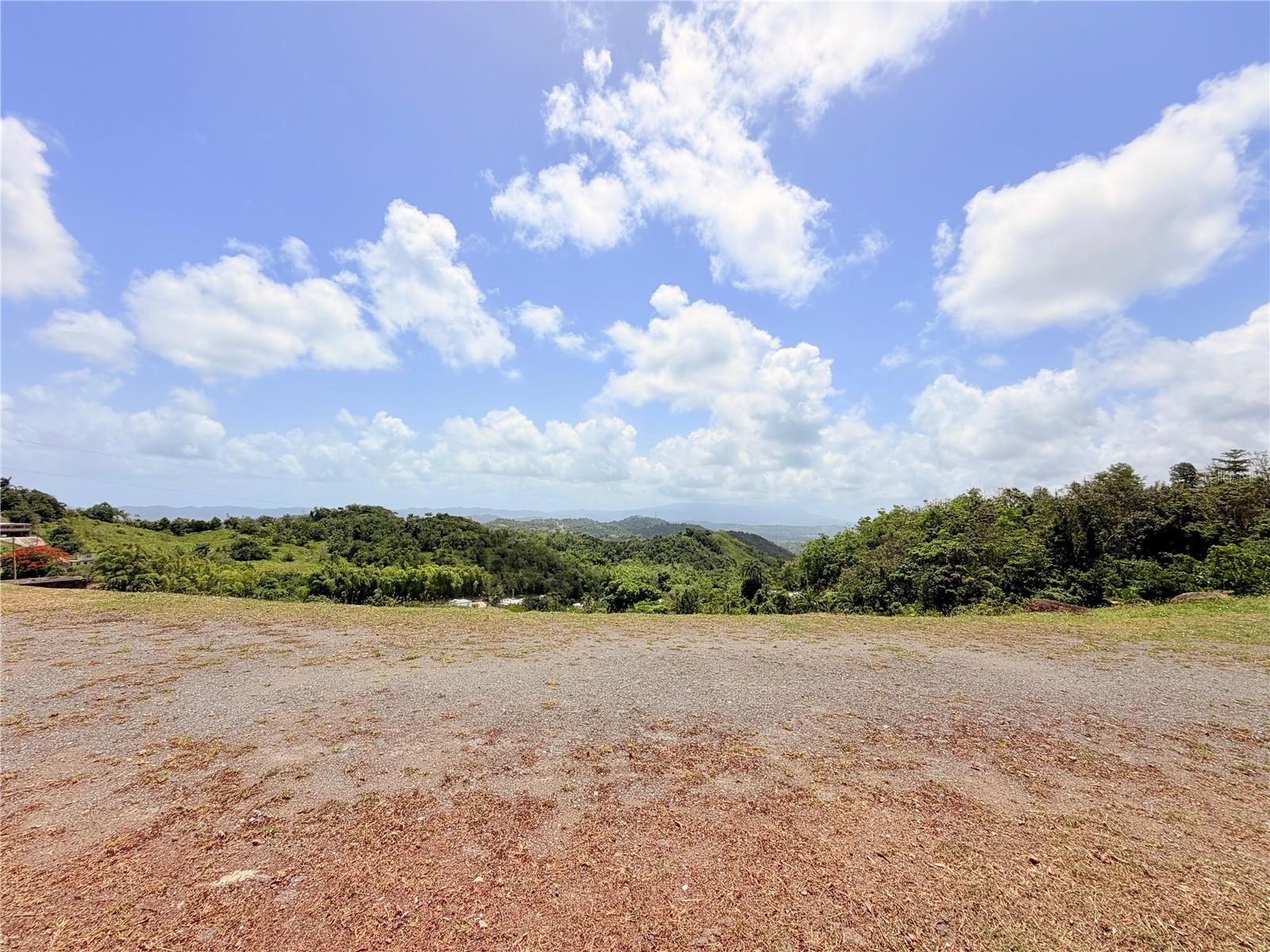 Photo of BO. QUEMADO SAN LORENZO PR 00754