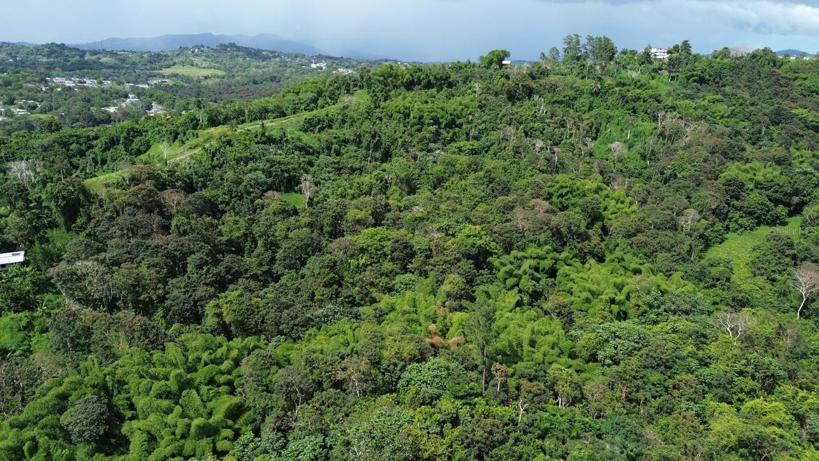 Photo of PR-183 SAN LORENZO PR 00754